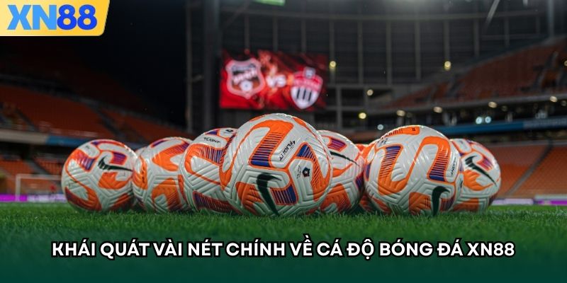 Khái quát vài nét chính về cá độ bóng đá XN88