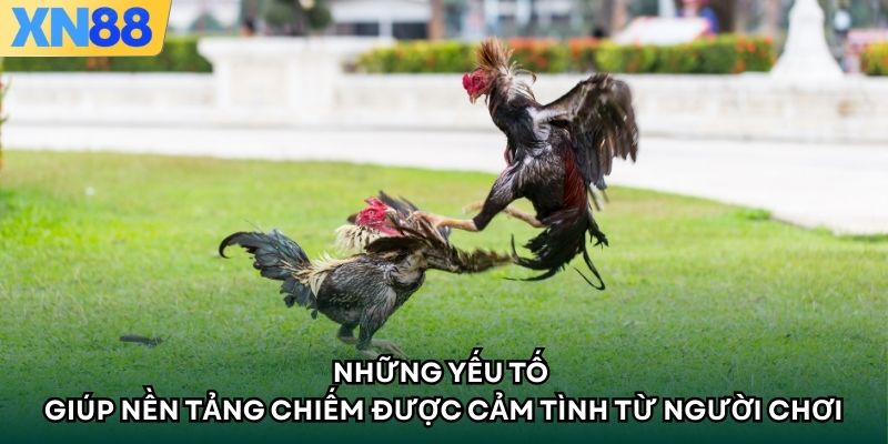 Những yếu tố giúp nền tảng chiếm được cảm tình từ người chơi