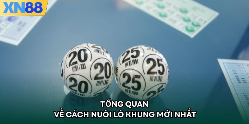 Tổng quan về cách nuôi lô khung mới nhất